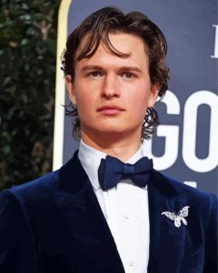 Ansel Elgort Actor Diamond Painting