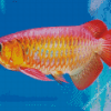 Arowana Fish Diamond Painting