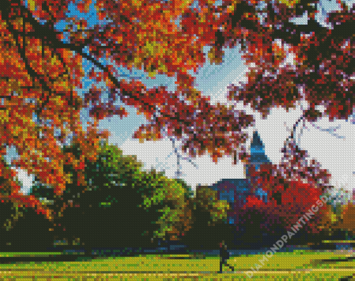 Autumn In Michigan State University Diamond Painting