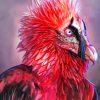 Bearded Vulture Art Diamond Painting