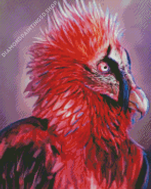 Bearded Vulture Art Diamond Painting