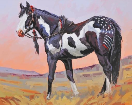 Black And White Indian Pony Diamond Painting