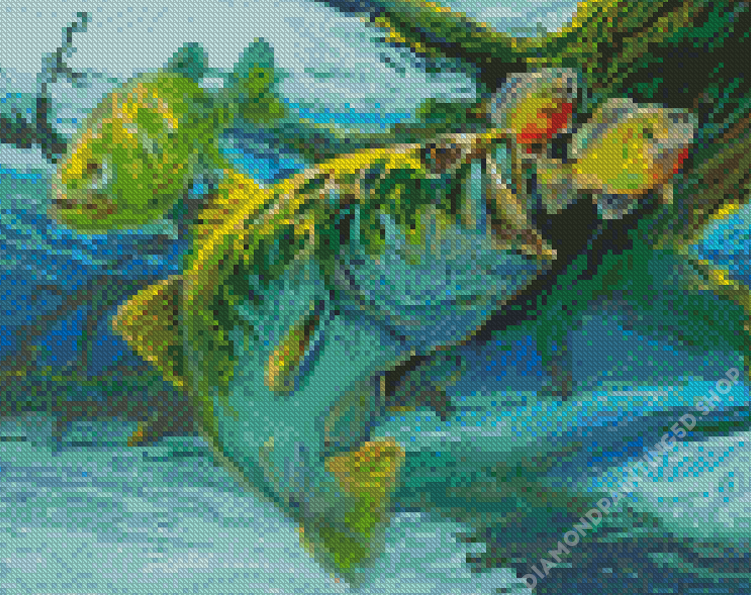 Bluegill And Largemouth Bass Art - 5D Diamond Painting