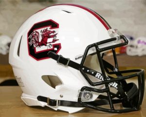 Carolina Gamecocks Helmet Diamond Painting