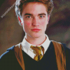 Cedric Diggory Harry Potter Character Diamond Painting
