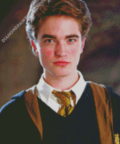 Cedric Diggory Harry Potter Character Diamond Painting