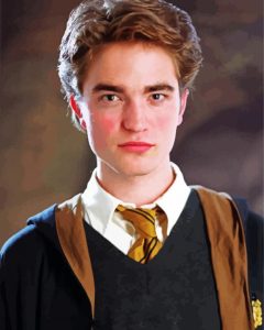 Cedric Diggory Harry Potter Character Diamond Painting