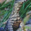 Close Up Goanna Diamond Painting