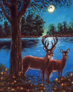 Deer Couple Diamond Painting