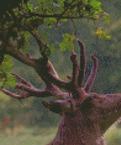 Deer Head In Rain Diamond Painting