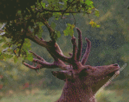 Deer Head In Rain Diamond Painting