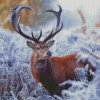 Deer Heart In Winter Diamond Painting