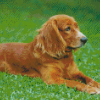 English Cocker Spaniel Diamond Painting