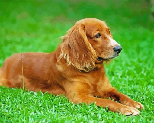 English Cocker Spaniel Diamond Painting