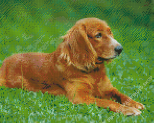 English Cocker Spaniel Diamond Painting