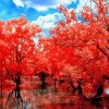 Fall Cherry Blossom Water Reflection Diamond Painting