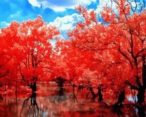 Fall Cherry Blossom Water Reflection Diamond Painting