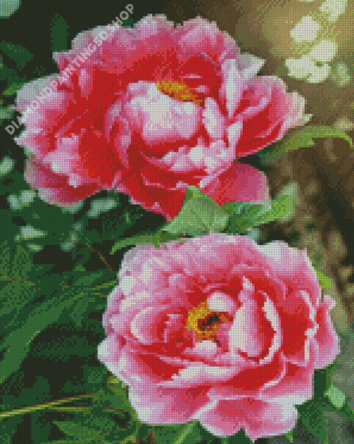 Flower Pink Illustration Diamond Painting