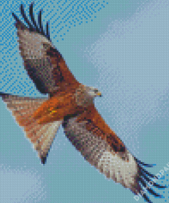 Flying Red Kite Bird Diamond Painting