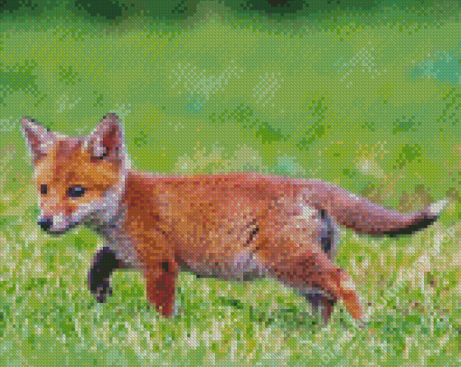 Fox Cub Diamond Painting