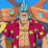 Franky One Piece Anime Diamond Painting