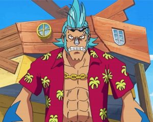 Franky One Piece Anime Diamond Painting