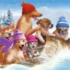 Funny Dogs In Snow Diamond Painting