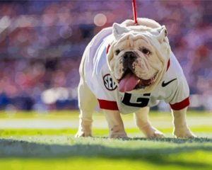 Georgia Bulldogs Animal Diamond Painting