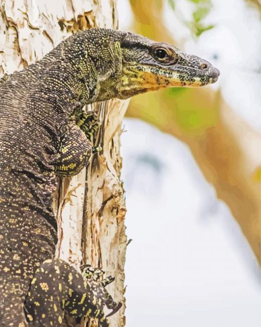 Goanna On Tree Diamond Painting