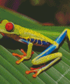 Grenouille Animal Diamond Painting