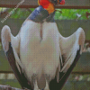 King Vulture Diamond Painting