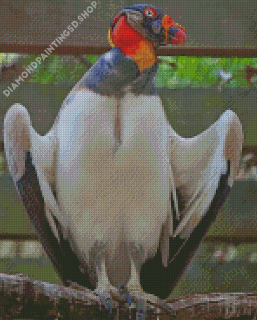 King Vulture Diamond Painting