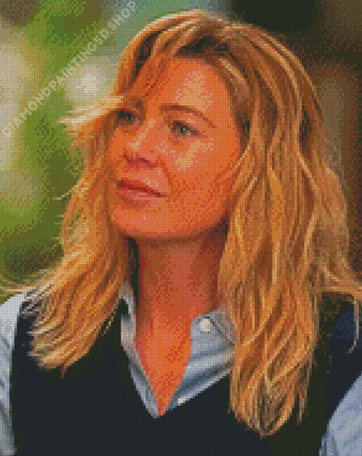 Meredith Grey Illustration Diamond Painting