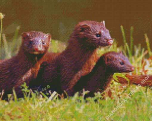 Mink Family Diamond Painting