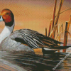 Northern Pintail Art Diamond Painting