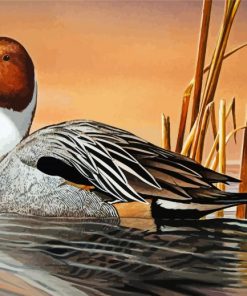 Northern Pintail Art Diamond Painting