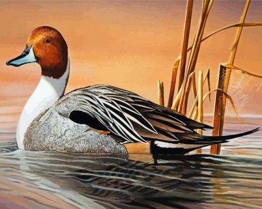 Northern Pintail Art Diamond Painting