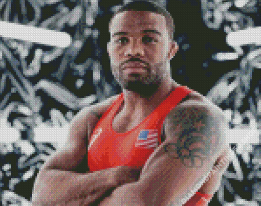 Olympic Athlete Jordan Burroughs Diamond Painting