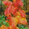 Poison Ivy Foliage Autumn Diamond Painting