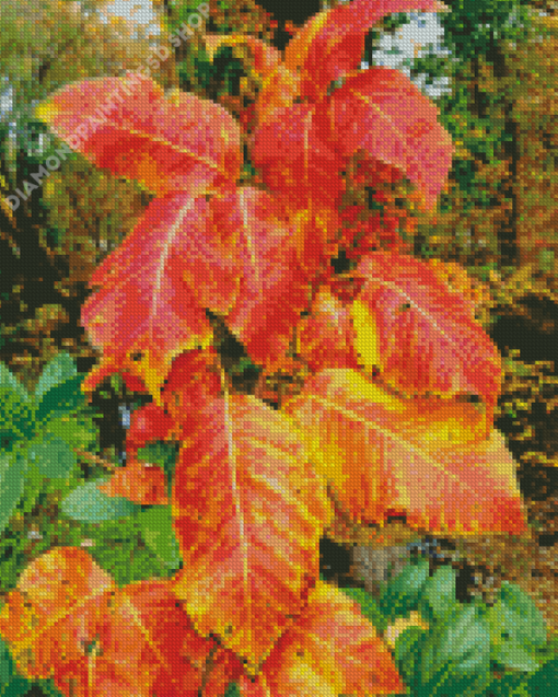 Poison Ivy Foliage Autumn Diamond Painting