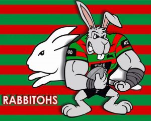 Rabbitohs Rugby Team Diamond Painting