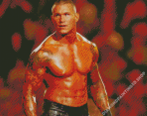 Randy Orton Diamond Painting