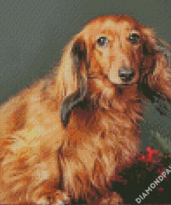 Red Dachshund Dog Diamond Painting