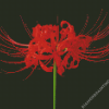 Red Spider Lily Diamond Painting