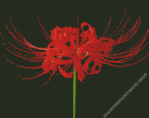 Red Spider Lily Diamond Painting