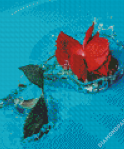 Rose Flower In Water Diamond Painting