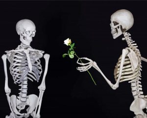 Skeleton Giving A Rose To Other One Diamond Painting