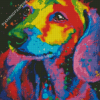 Splatter Colorful Dachshund Diamond Painting