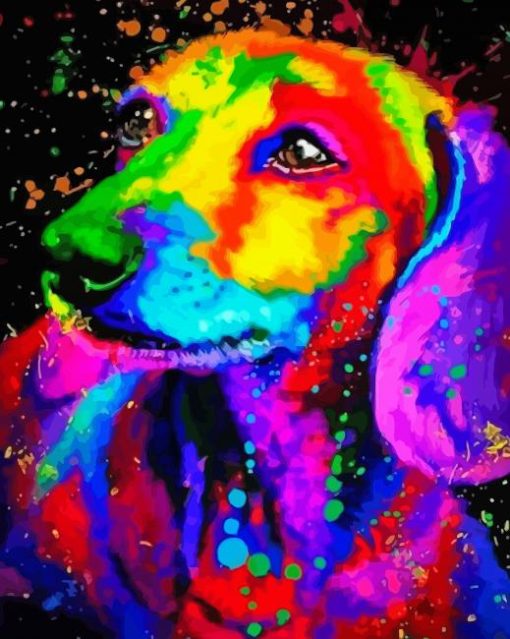 Splatter Colorful Dachshund Diamond Painting