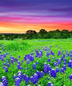 Texas Hill Country Sunset Landscape Diamond Painting